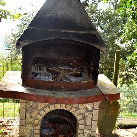 Agriturismo Podere Biancospino Piscina Privata Chianciano Terme Kültér fotó