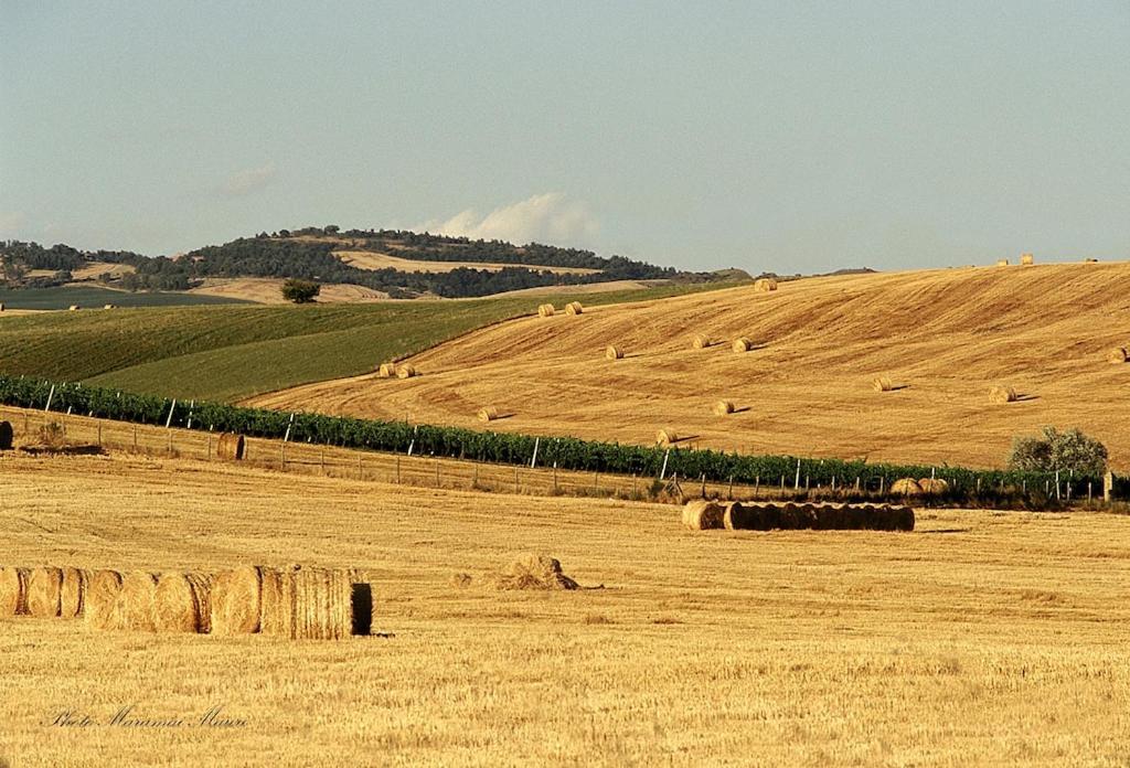 Agriturismo Podere Biancospino Piscina Privata Chianciano Terme Kültér fotó